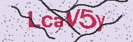 Codice captcha