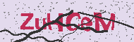 Codice captcha