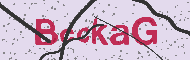 Codice captcha