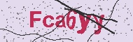Codice captcha