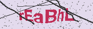 Codice captcha