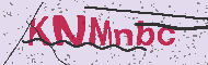Codice captcha