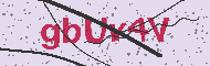 Codice captcha