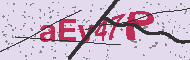 Codice captcha