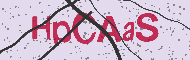 Codice captcha