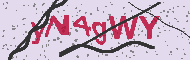Codice captcha
