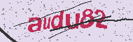 Codice captcha