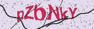 Codice captcha