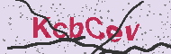 Codice captcha