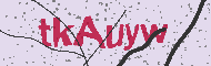 Codice captcha