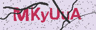 Codice captcha