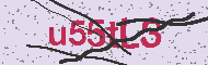 Codice captcha