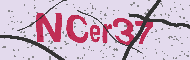 Codice captcha