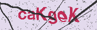 Codice captcha