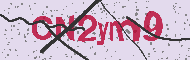 Codice captcha