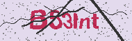 Codice captcha