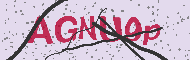 Codice captcha