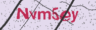 Codice captcha